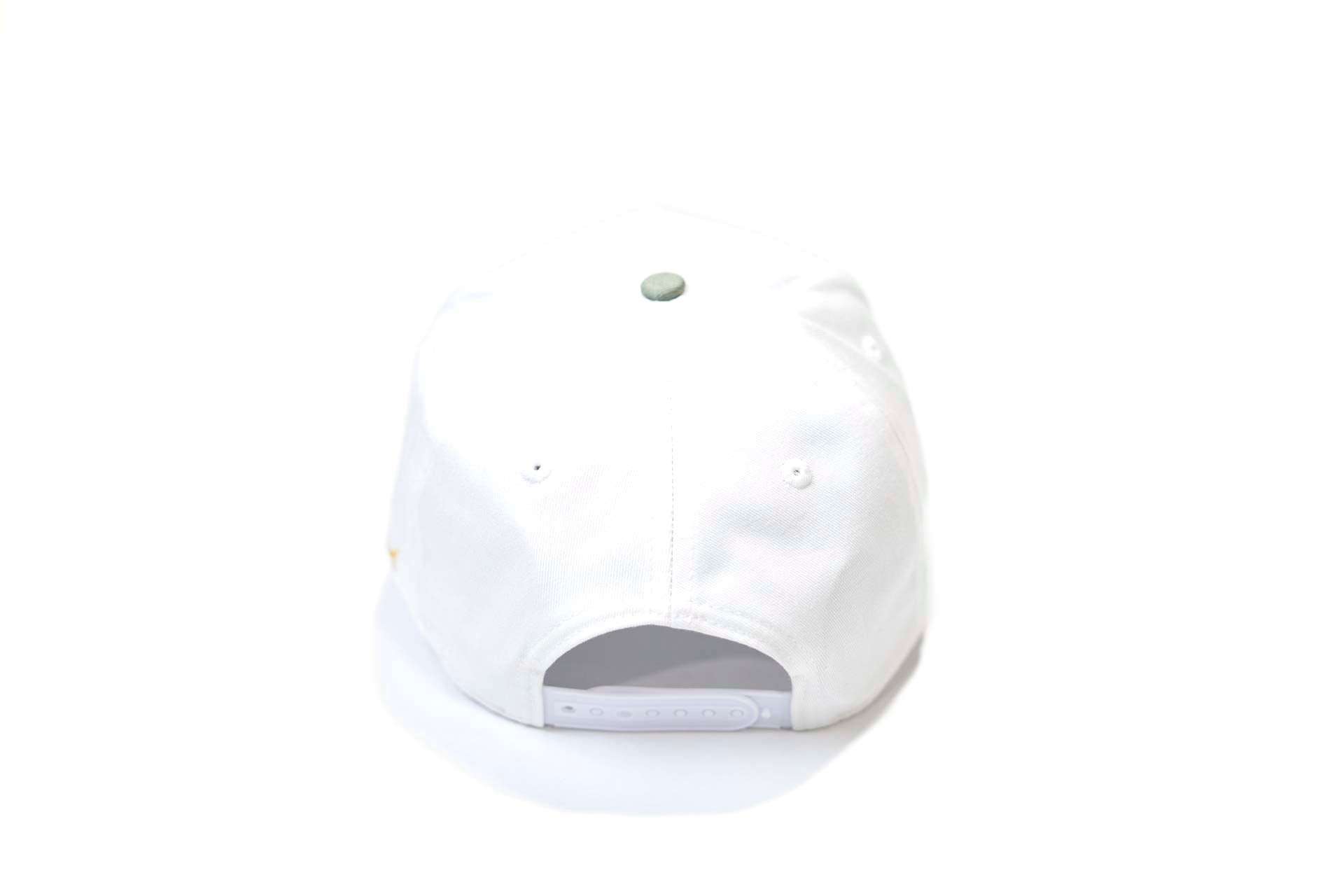 Precurved Dallas snapback - SAGE / WHITE