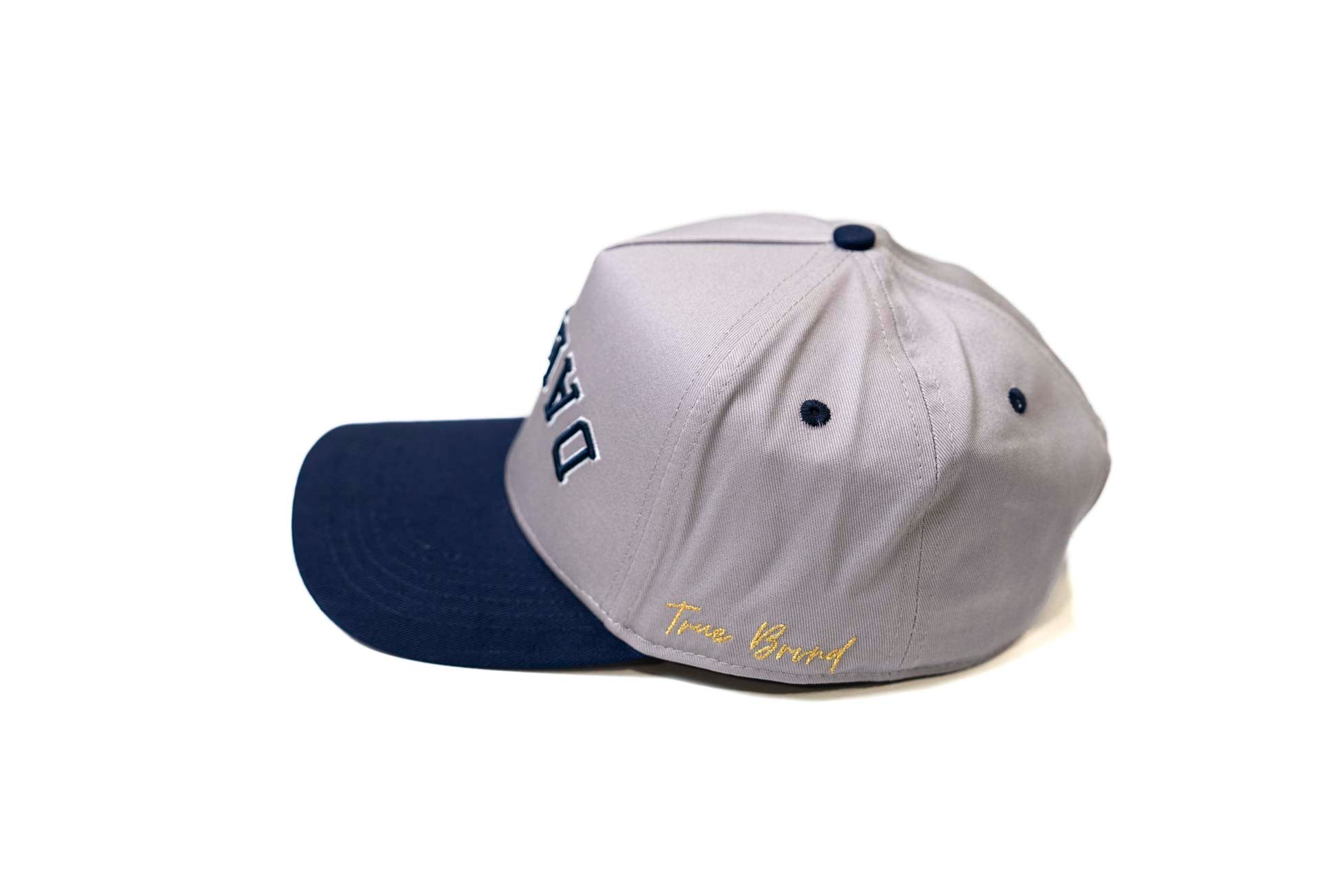 LC - Precurved Dallas snapback - NAVY / GRAY