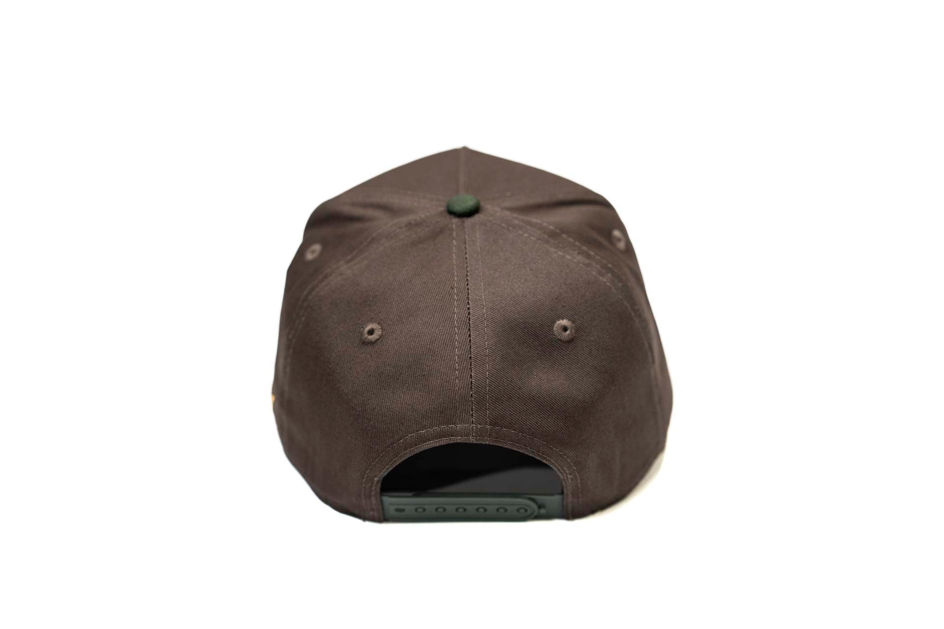 Precurved Dallas snapback - WALNUT / PINE