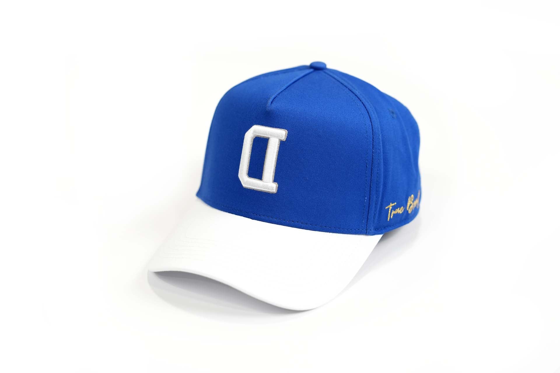 V2 Precurved snap - WHITE / ROYAL