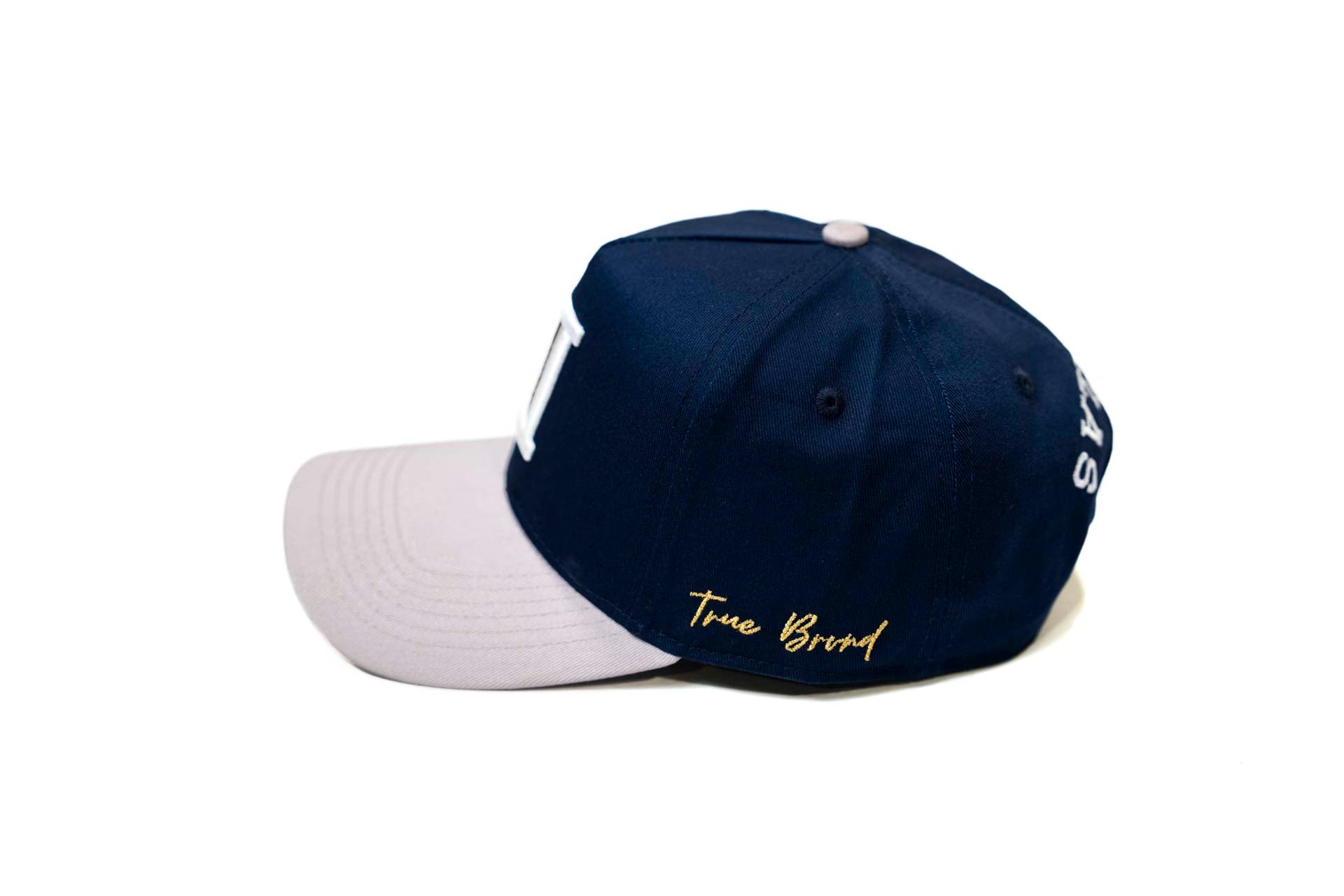 Inline D snapback - GRAY/NAVY