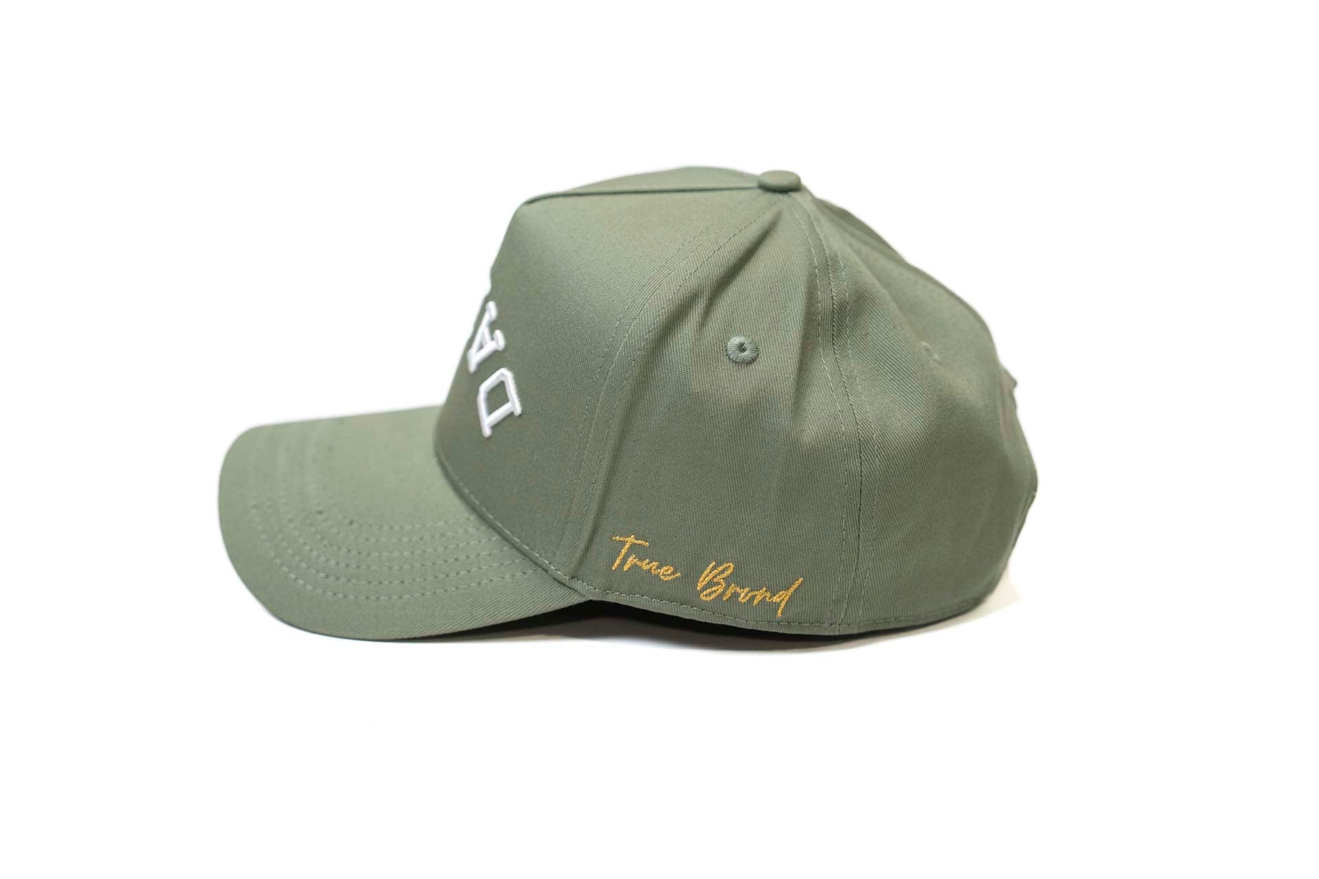 Precurved Dallas snapback - SAGE