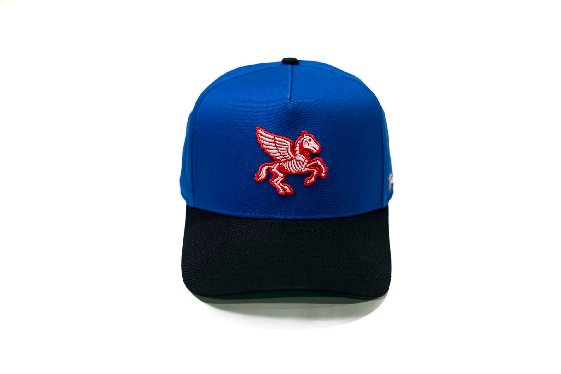 " Carcass " - BLACK / ROYAL