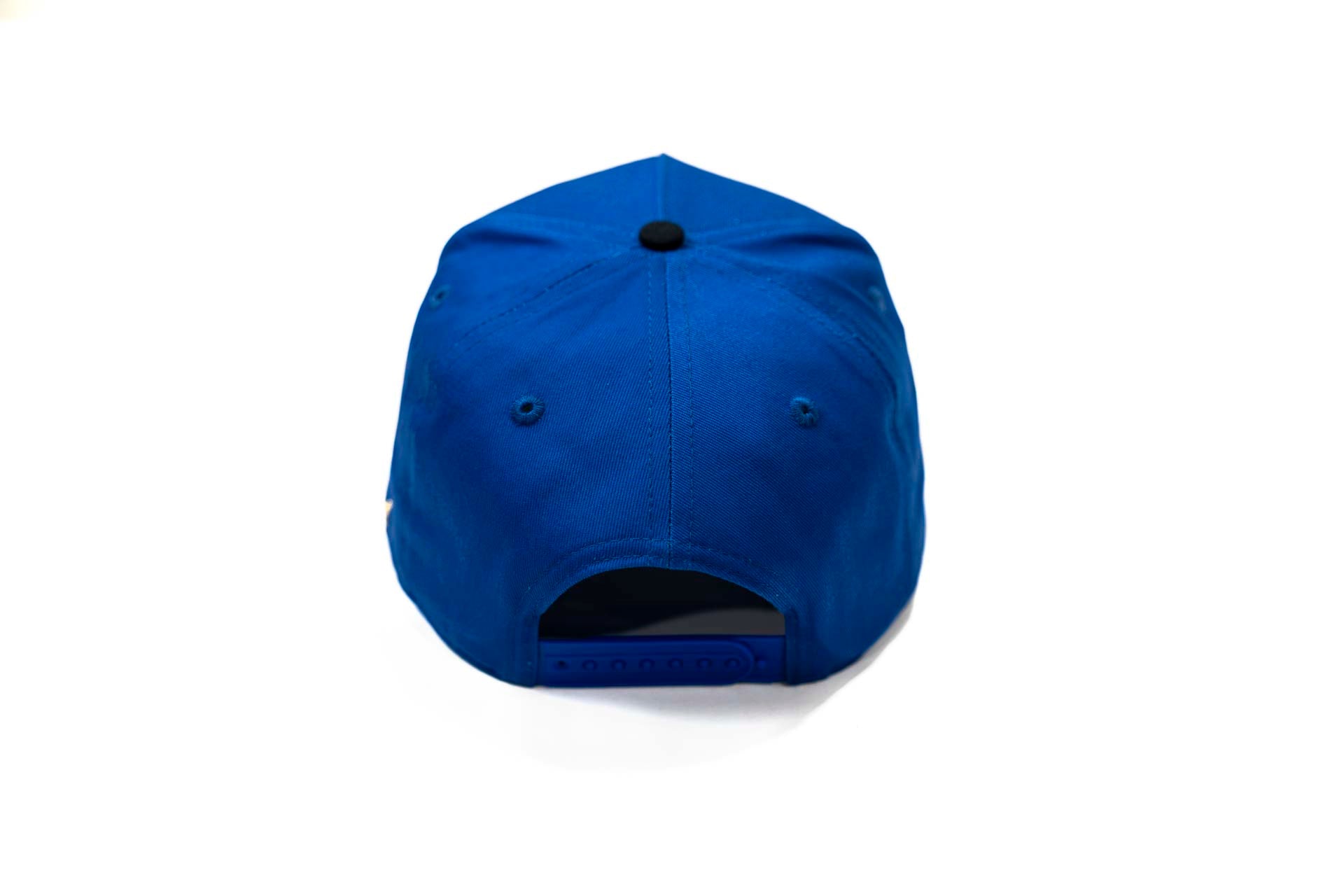 " Carcass " - BLACK / ROYAL