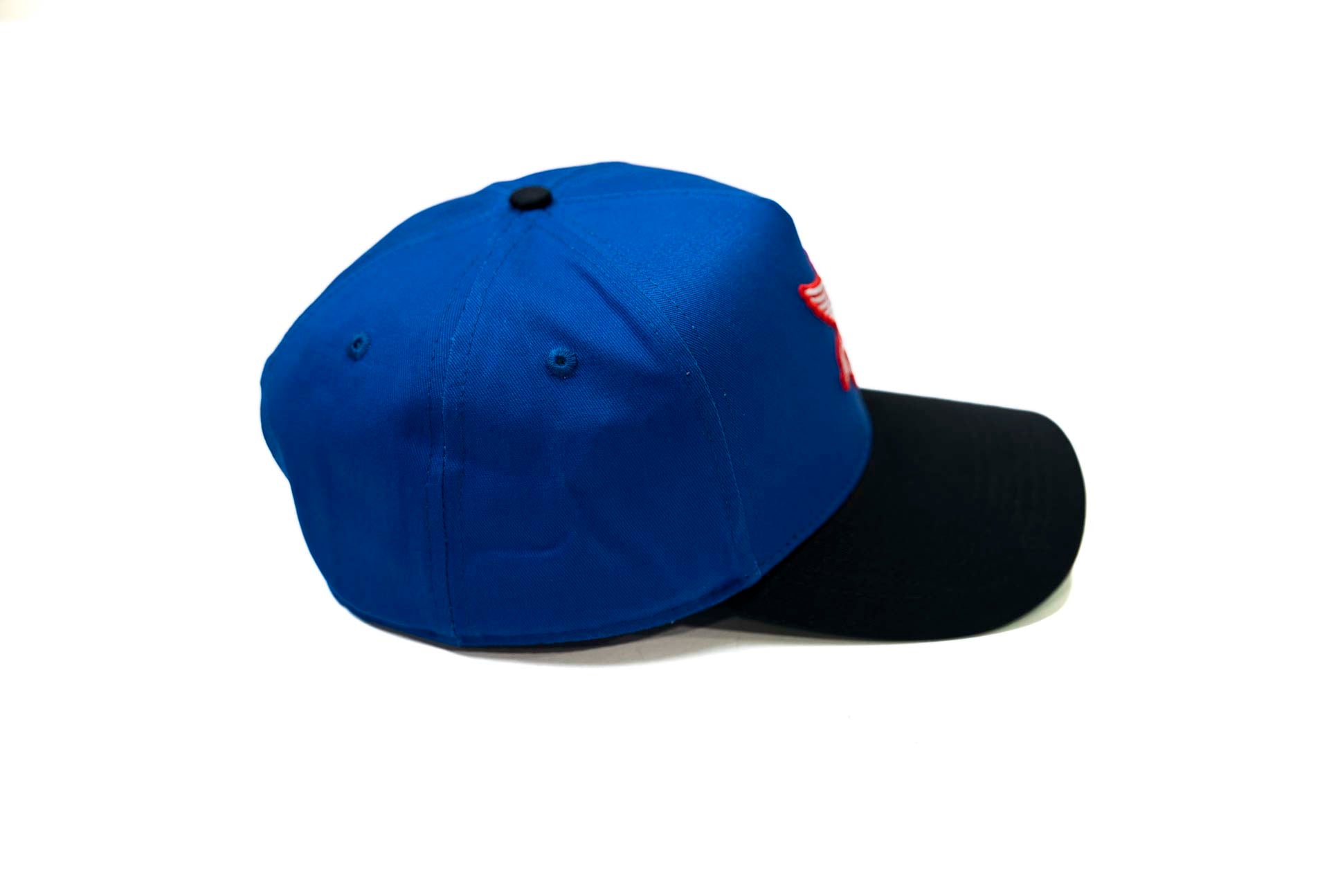 " Carcass " - BLACK / ROYAL