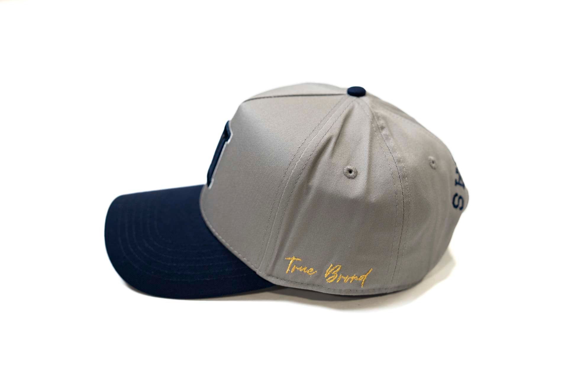 V2 Precurved snap - NAVY / GRAY