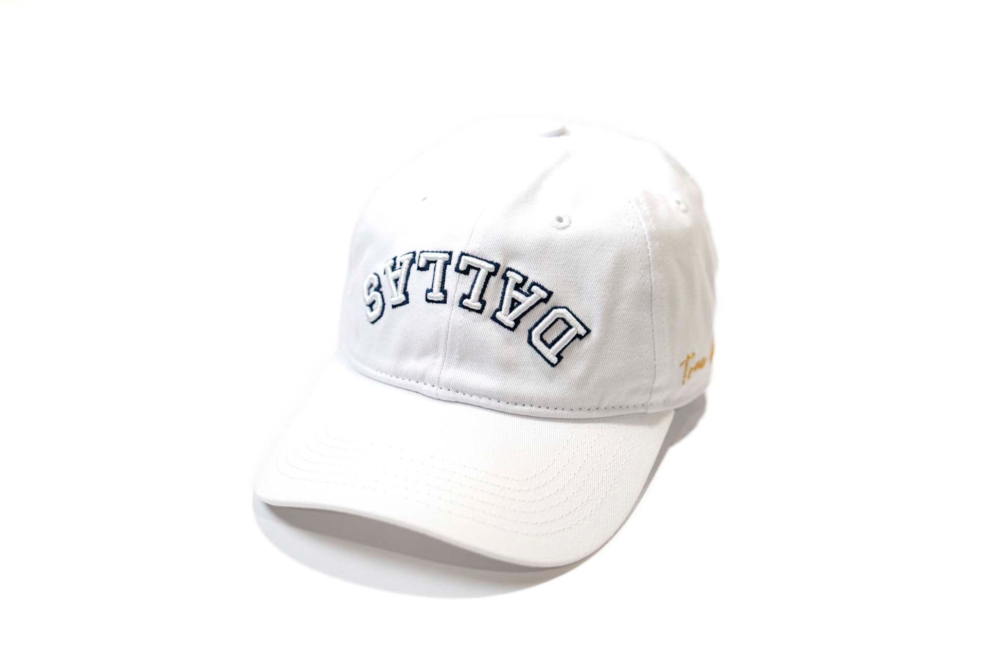 PPA X TRUE BRVND DAD HAT - USD WHITE