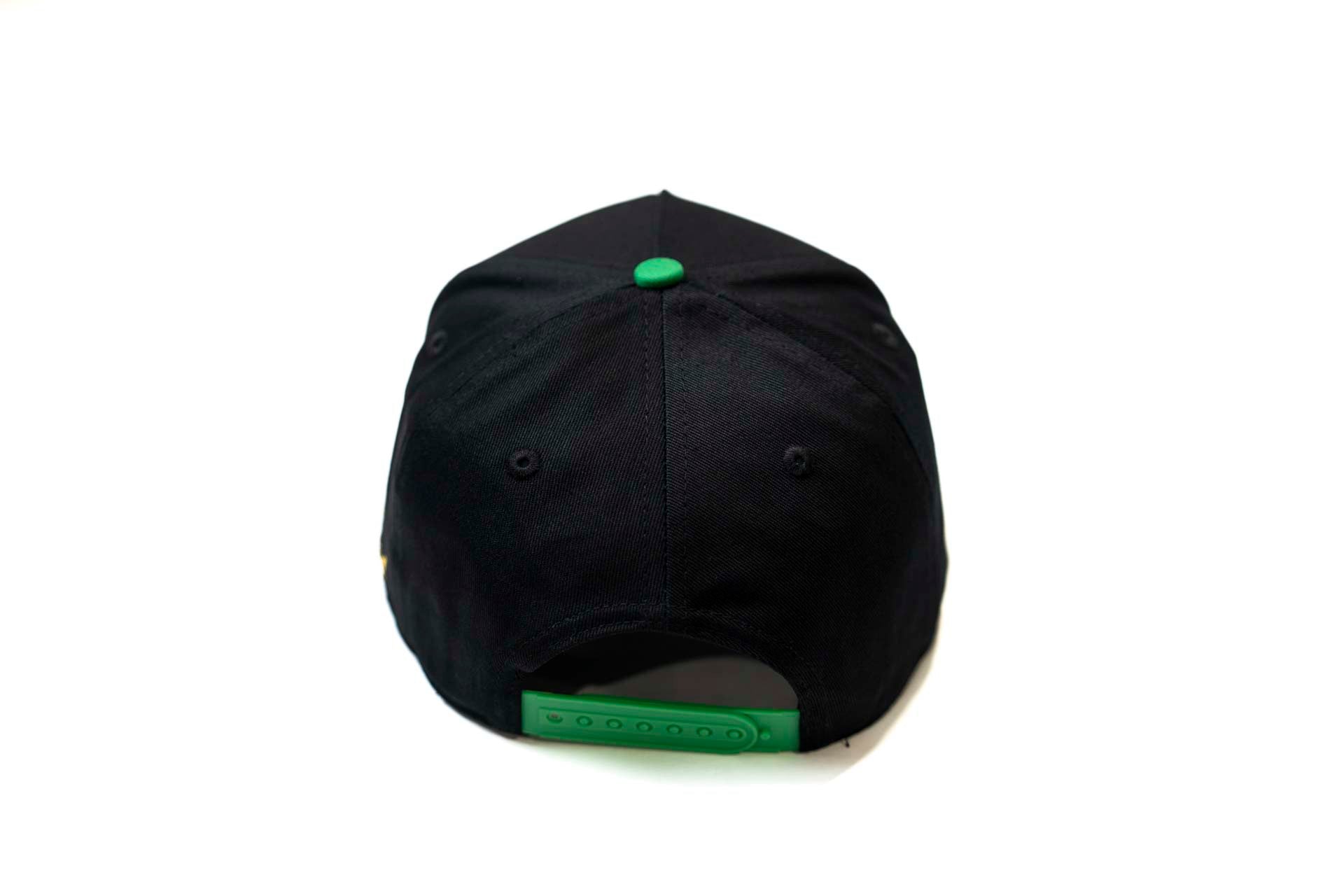 Precurved Dallas snapback - VICTORY GREEN / BLACK
