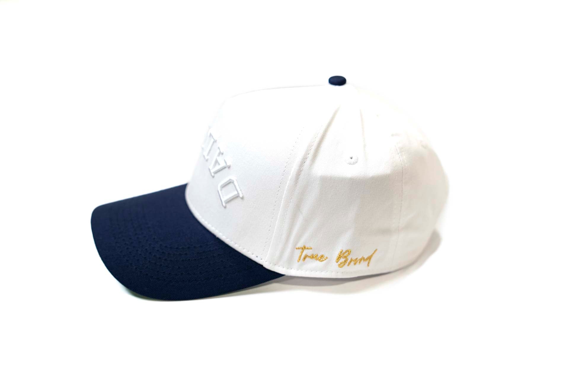 Precurved Dallas snapback - NAVY / ALL WHITE