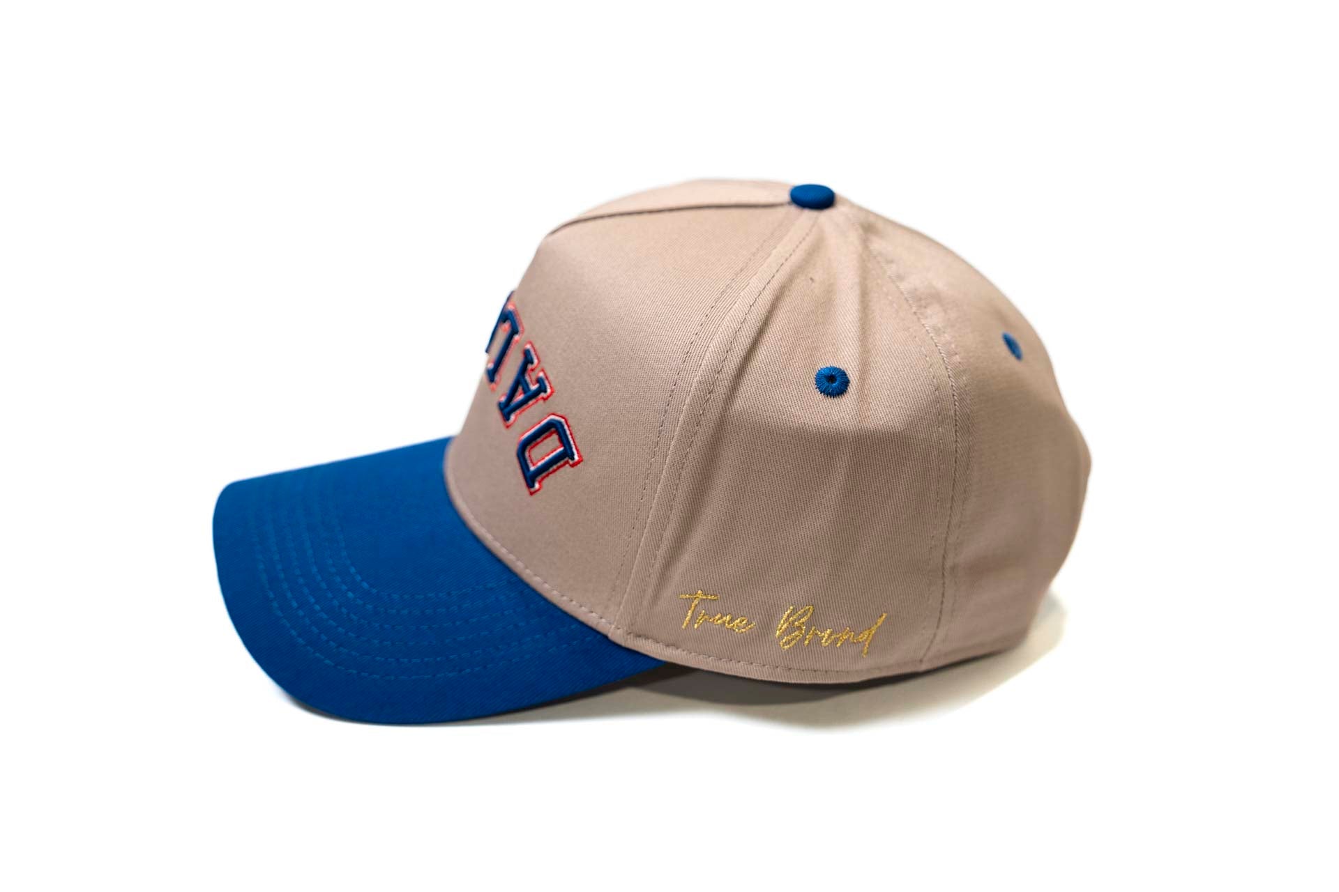 Precurved Dallas snapback - ROYAL / GRAY