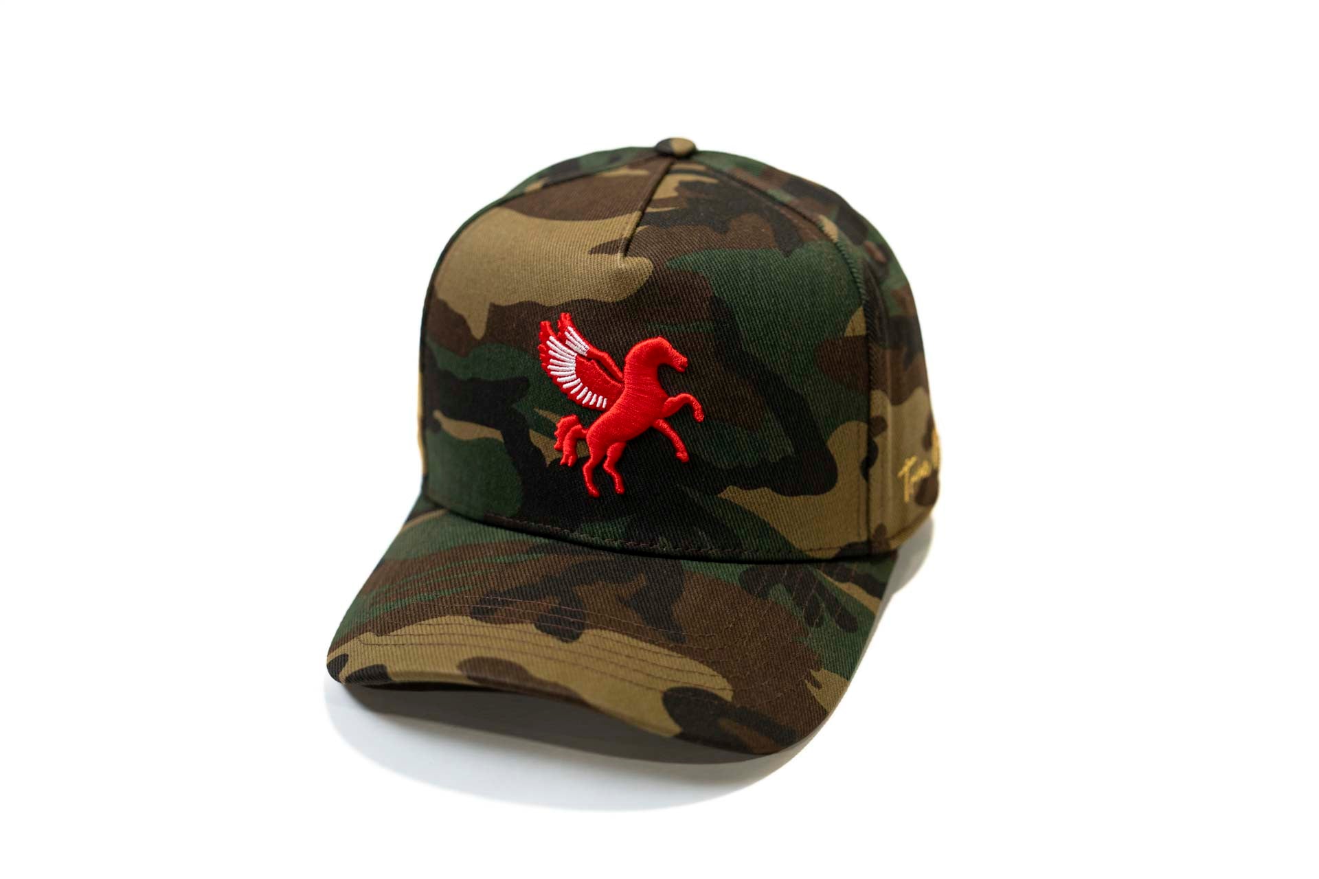 CAMO - PEGASUS