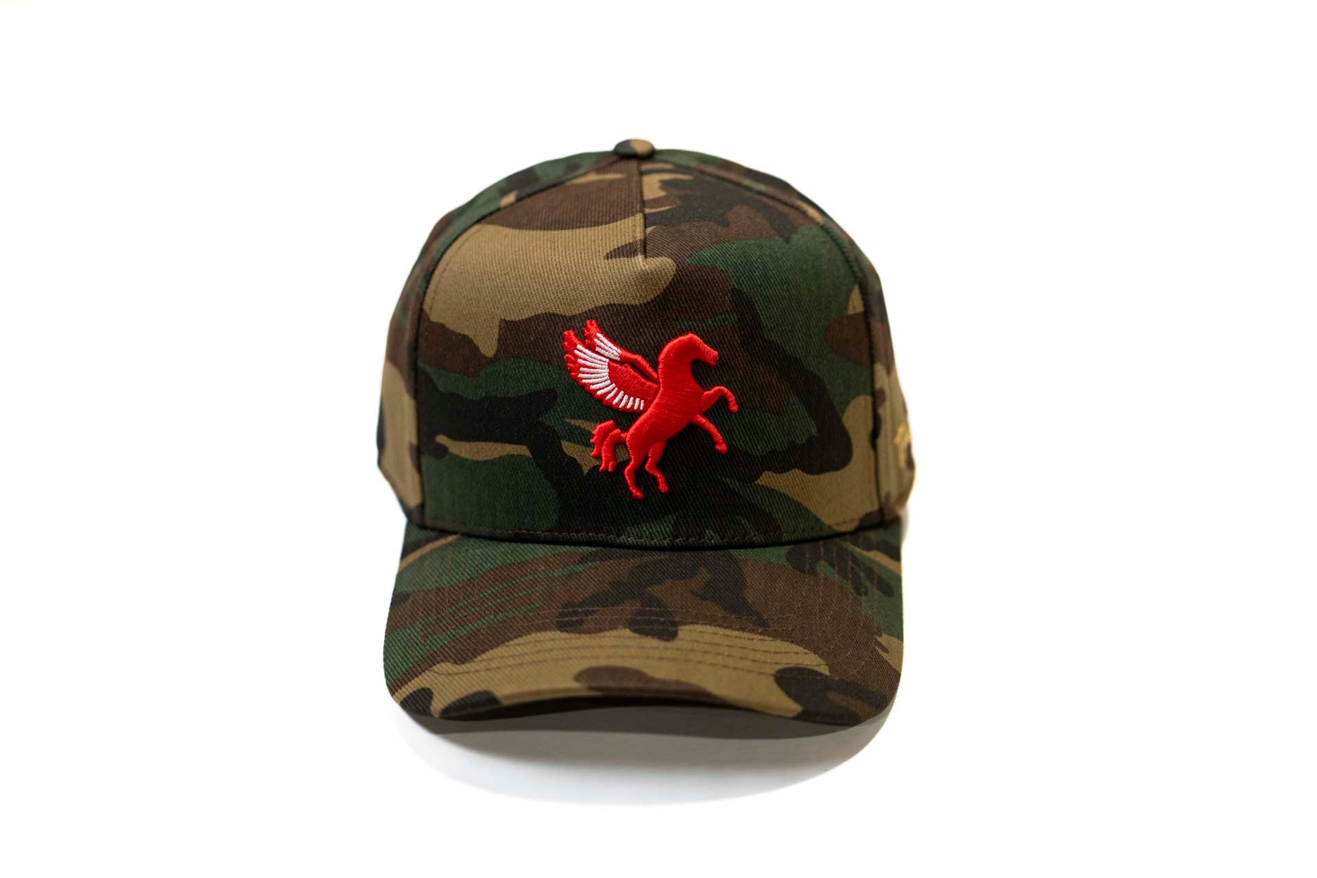 CAMO - PEGASUS