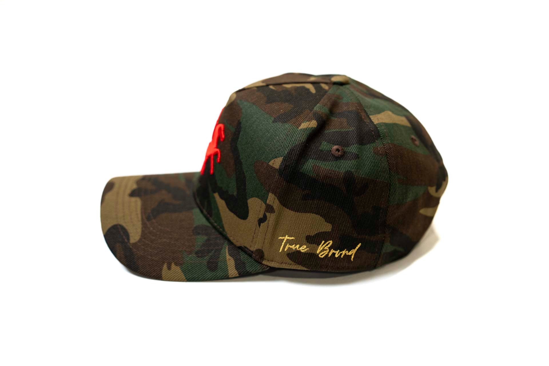CAMO - PEGASUS