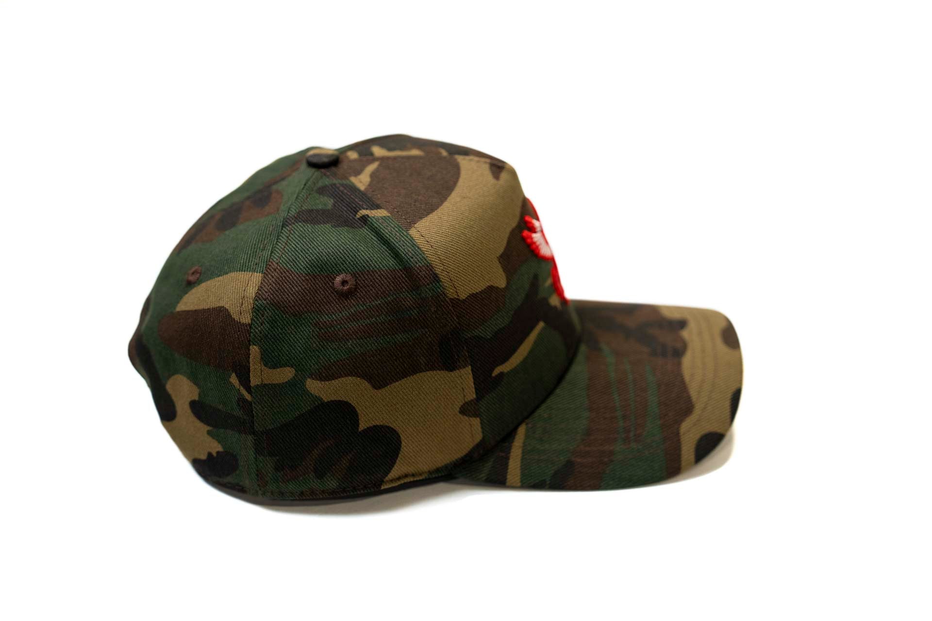 CAMO - PEGASUS