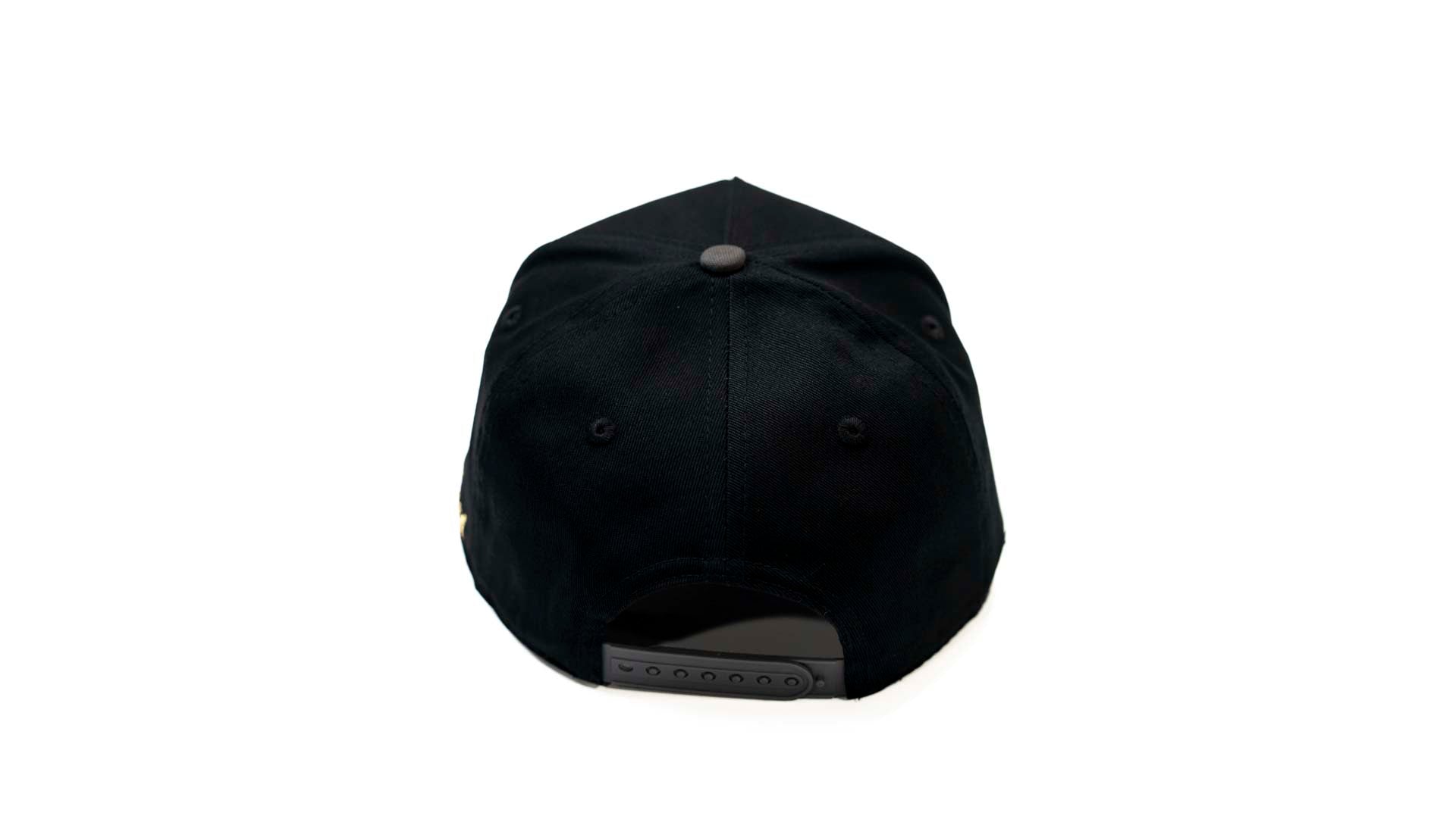 Precurved Dallas snapback -  CHARCOAL / BLACK