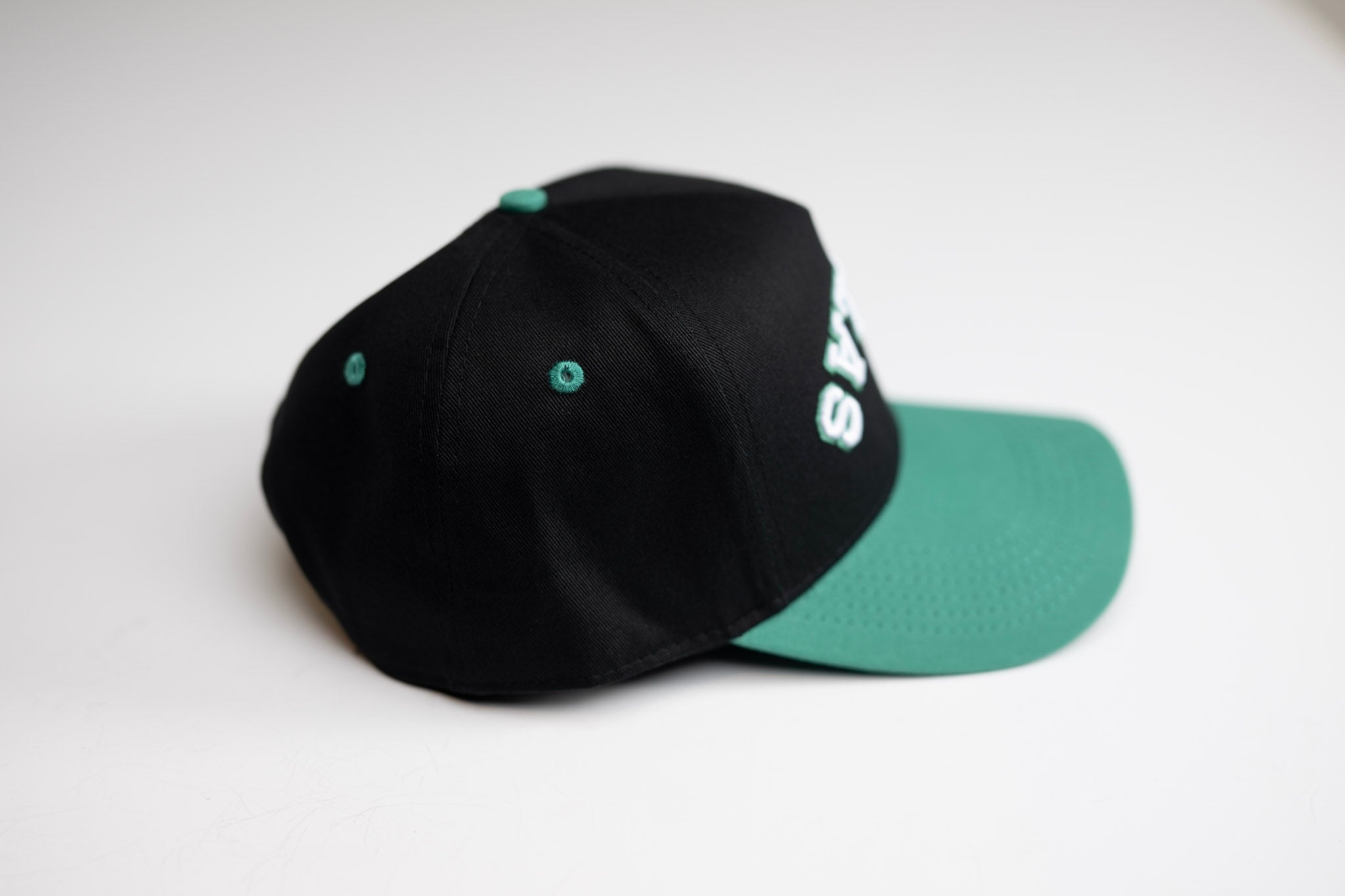 Precurved Dallas snapback - EUCALYPTUS / BLACK