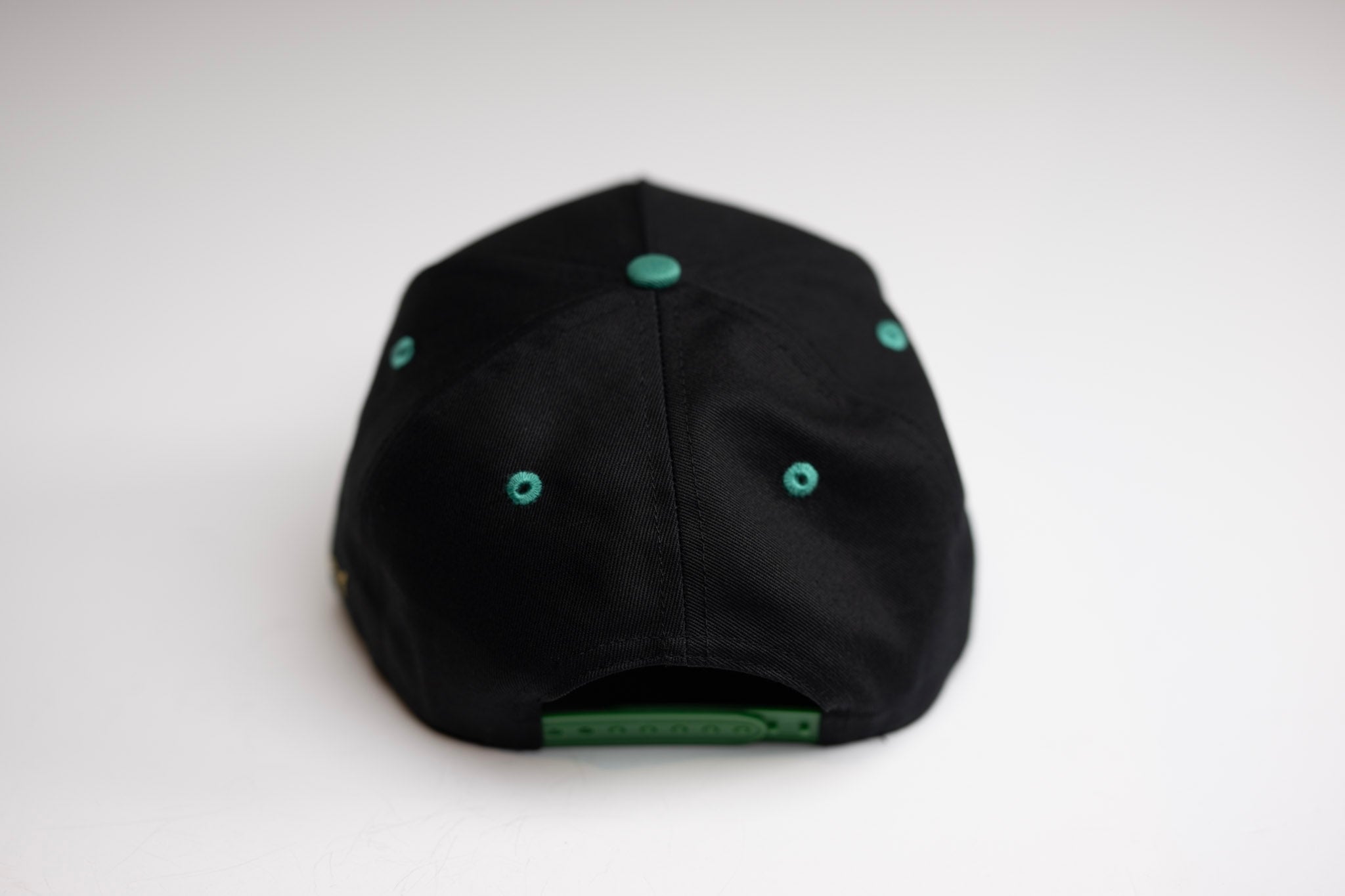 Precurved Dallas snapback - EUCALYPTUS / BLACK