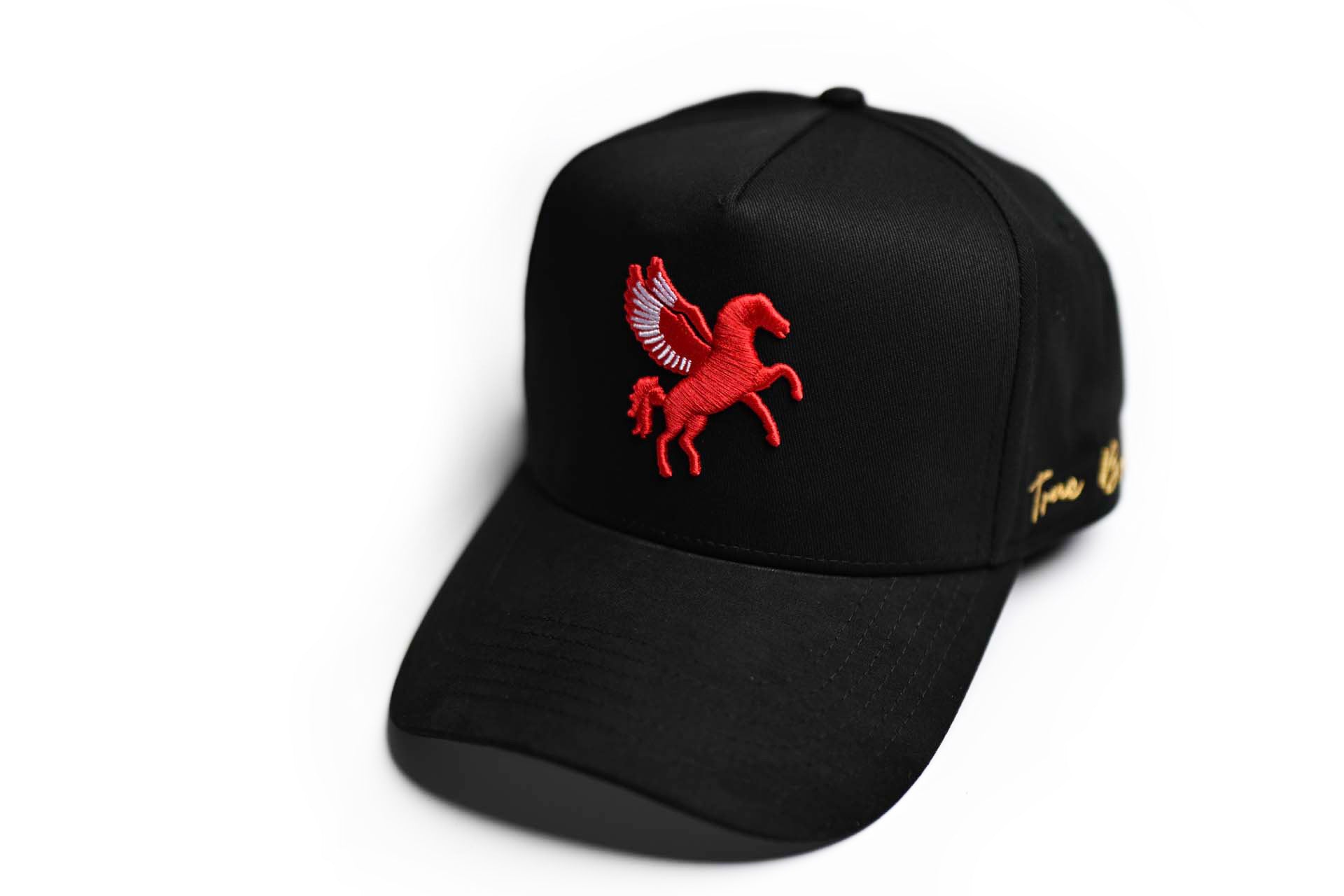 Pegasus snapback - BLACK