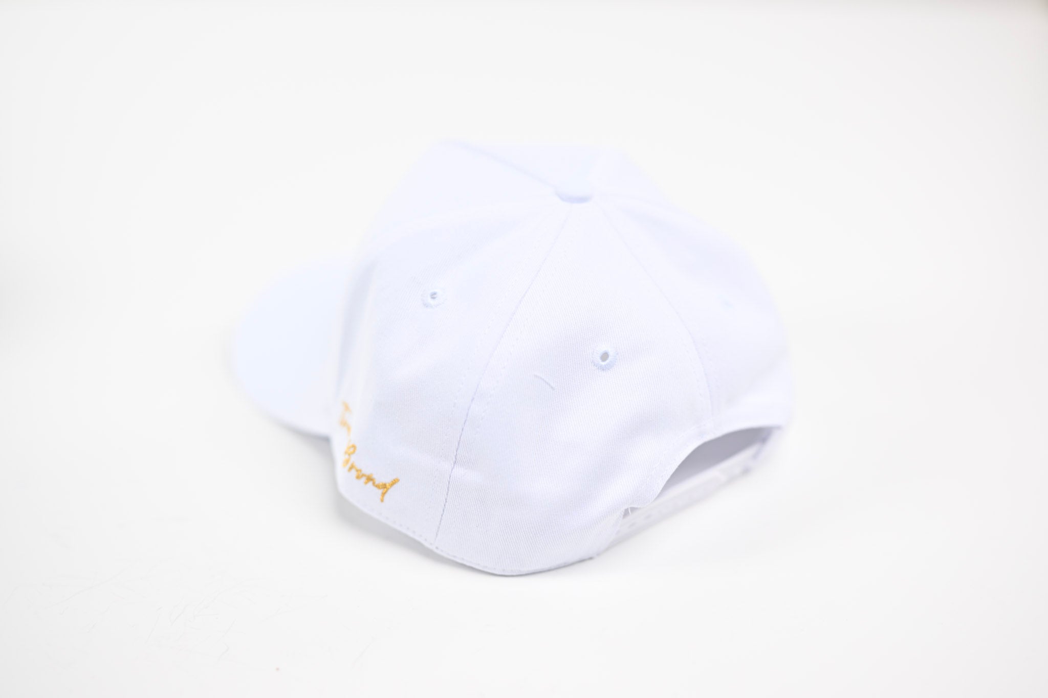 Precurved Dallas snapback - TONAL WHITE