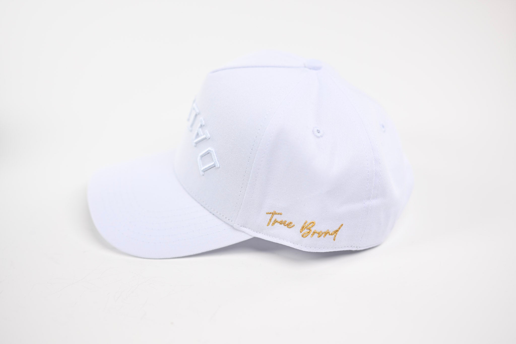 Precurved Dallas snapback - TONAL WHITE