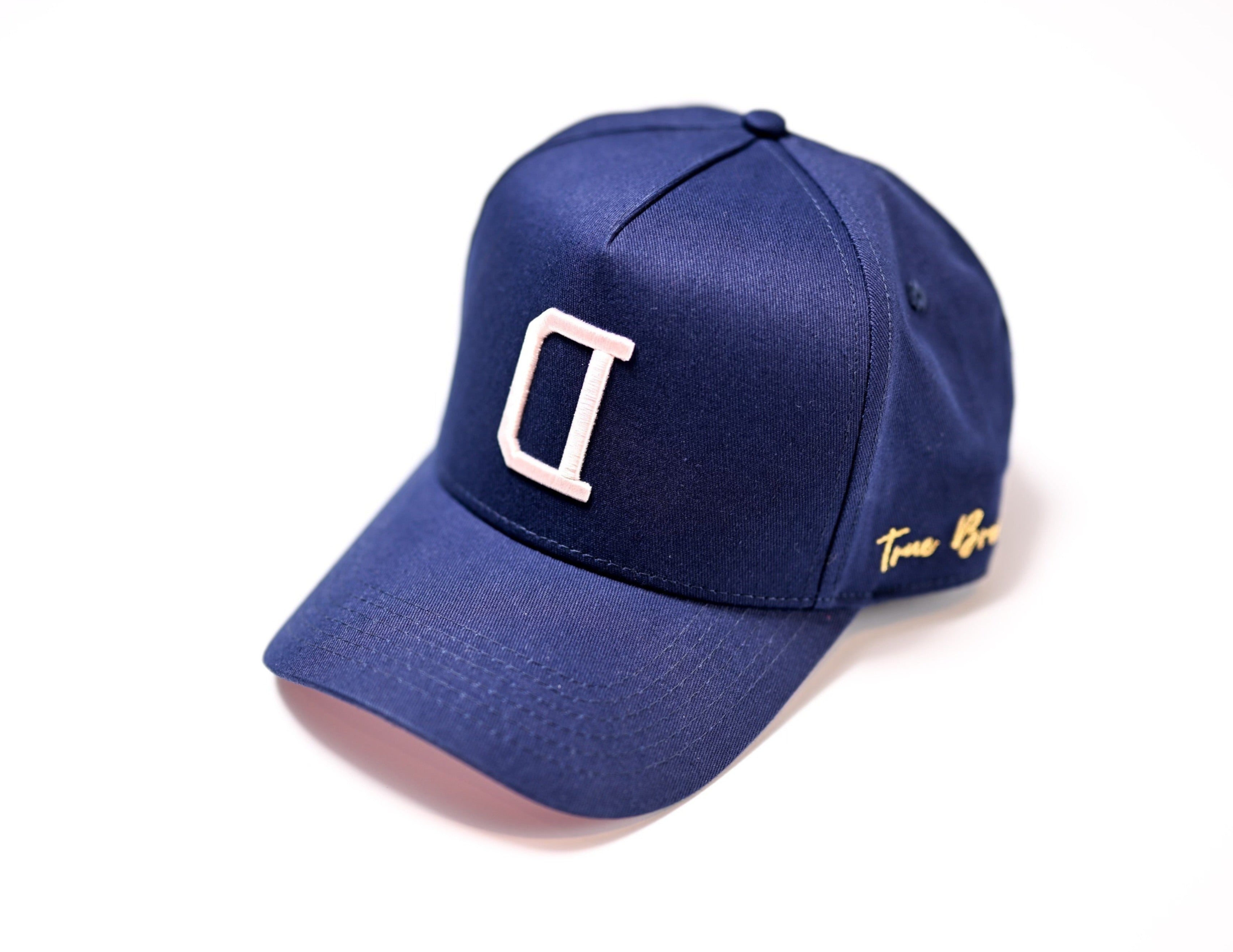 V2 Precurved snapback - PINK / NAVY