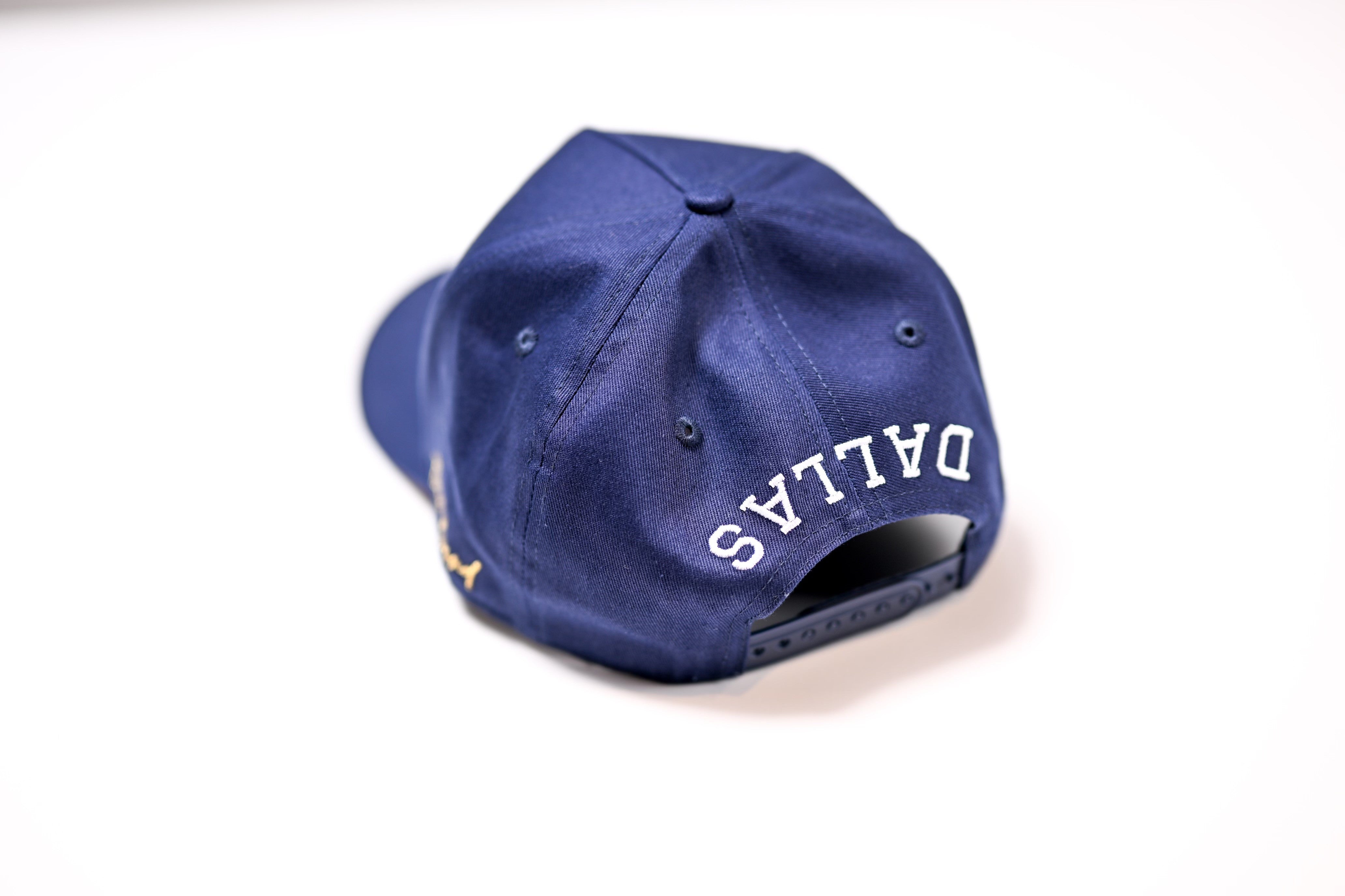 V2 Precurved snapback - PINK / NAVY