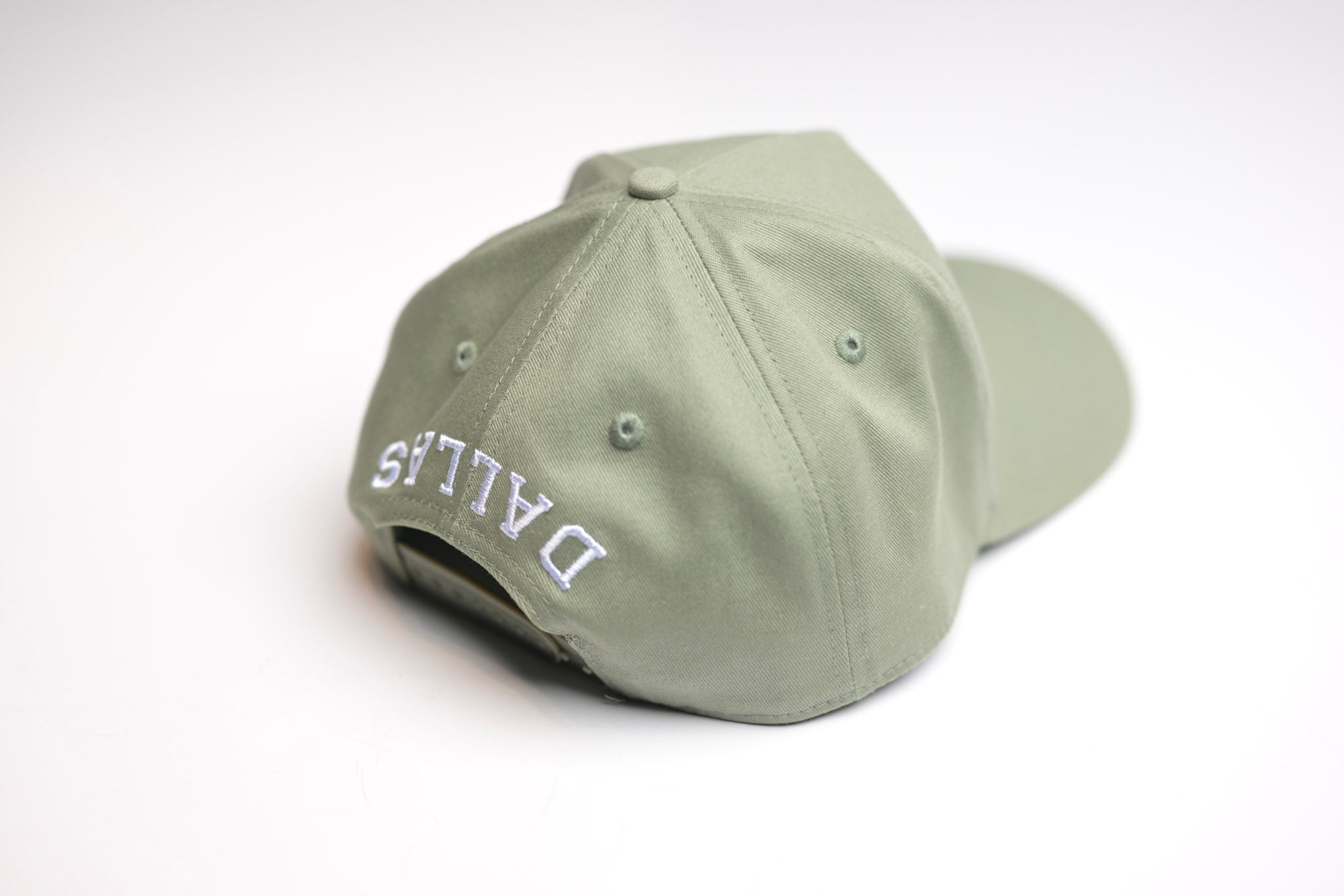 V2 Precurved snapback - SAGE – True Brvnd