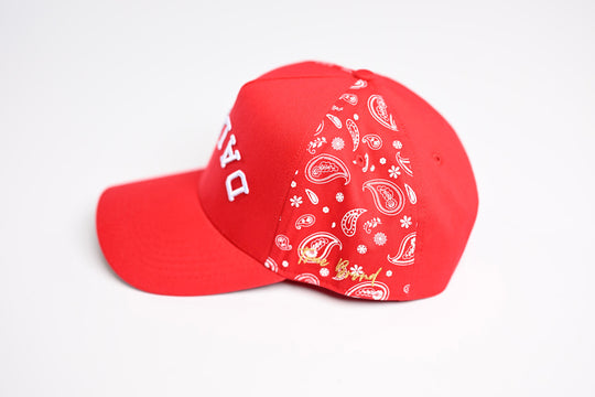 PAISLEY - RED