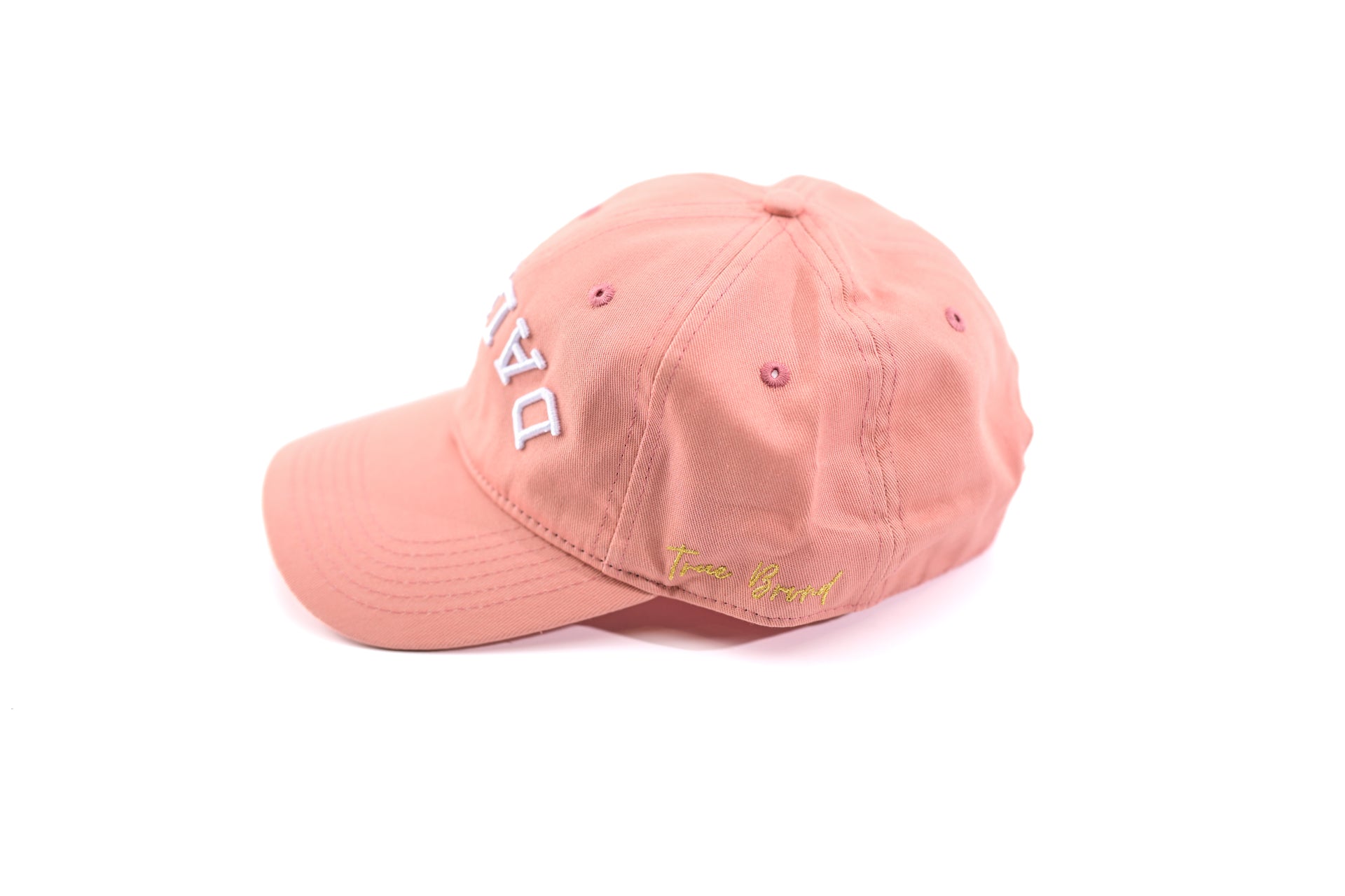 Dad Hat - DUSTY ROSE