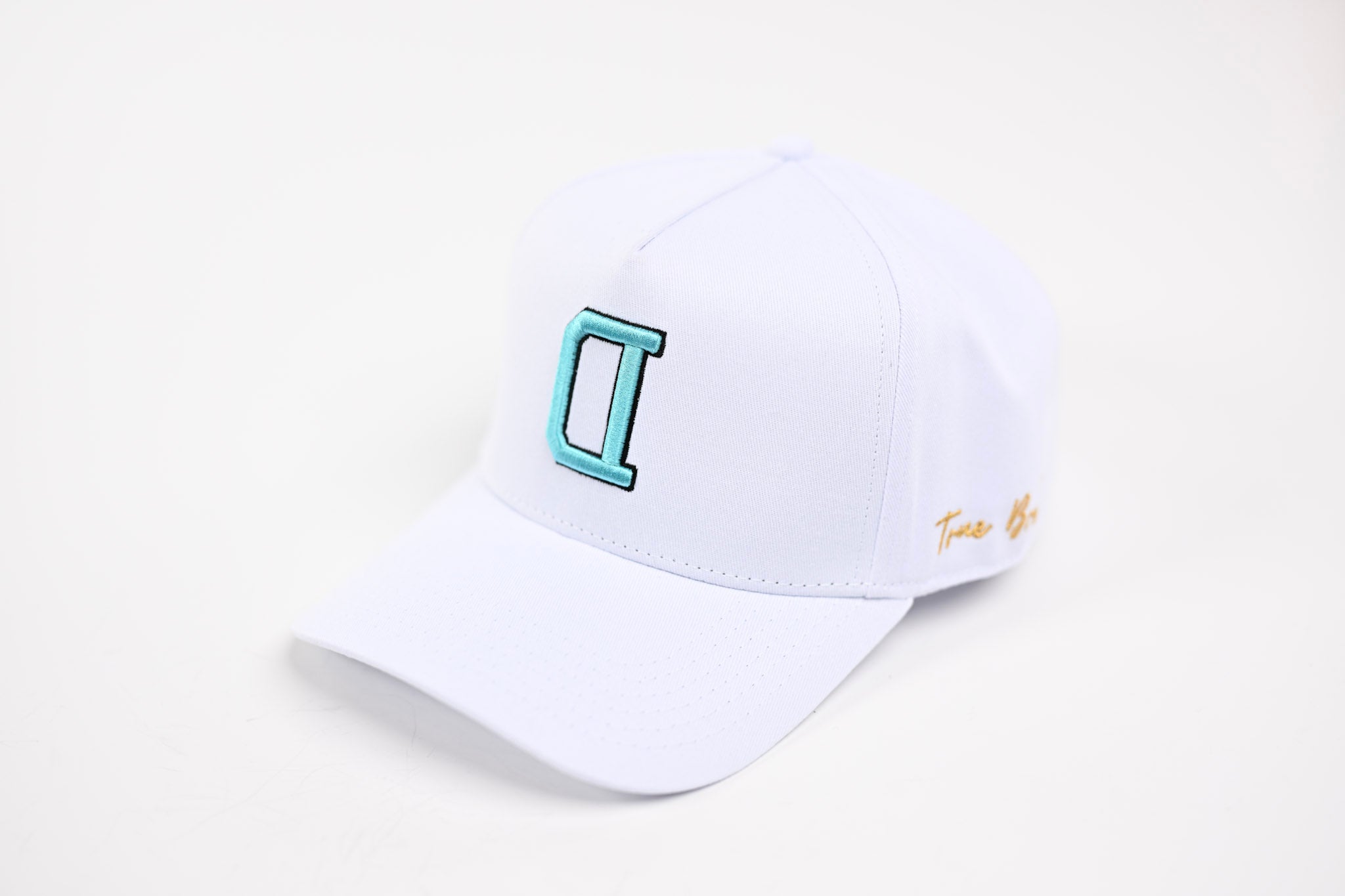 NEON V2 Precurved snapback - WHITE / BLUE