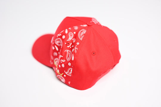 PAISLEY - RED