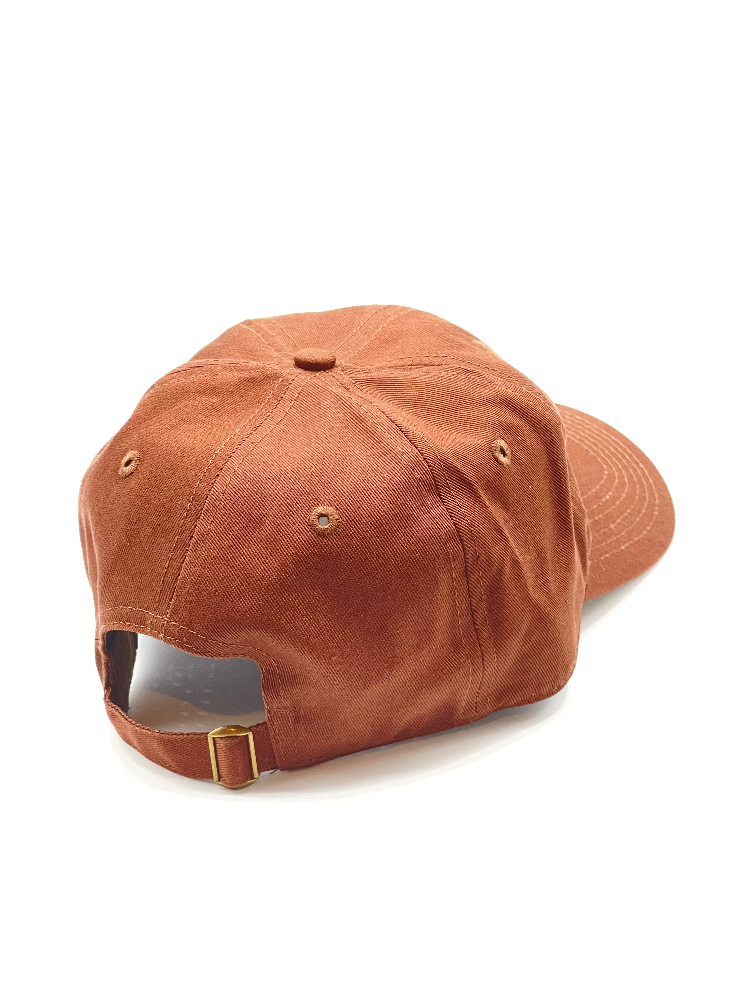 Dad Hat - BROWN w/ CREAM