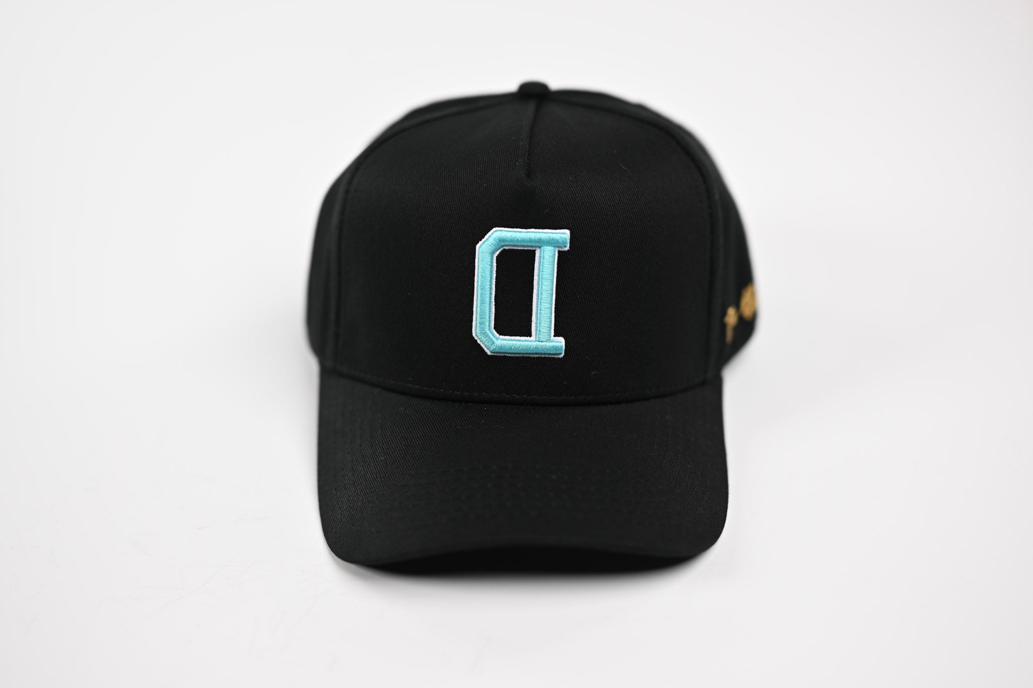 NEON V2 Precurved snapback - BLACK / BLUE