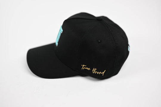 NEON V2 Precurved snapback - BLACK / BLUE