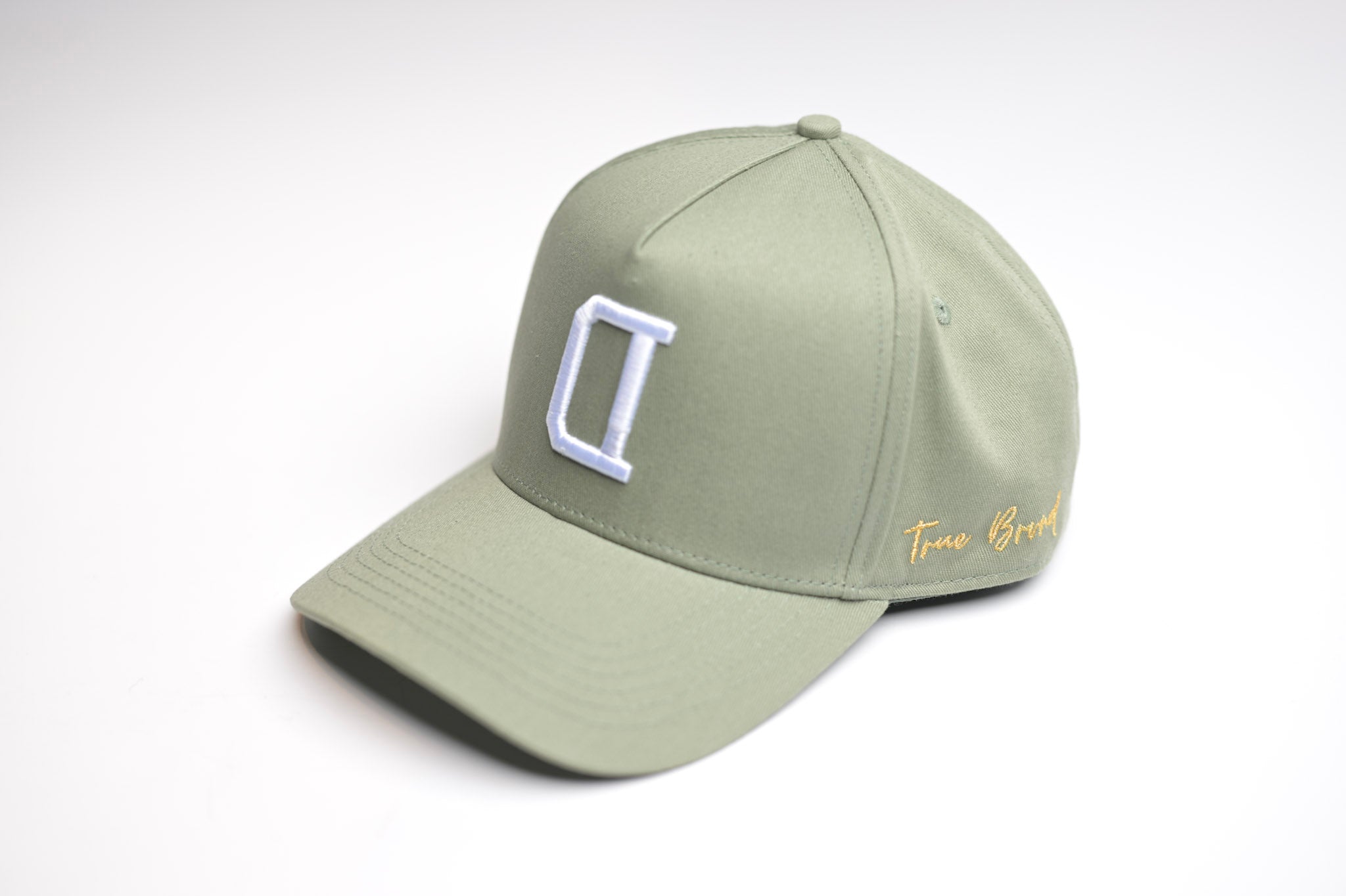 V2 Precurved snapback - SAGE