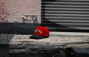" Cherry " - Precurved Dallas snapback - BLACK / CHERRY