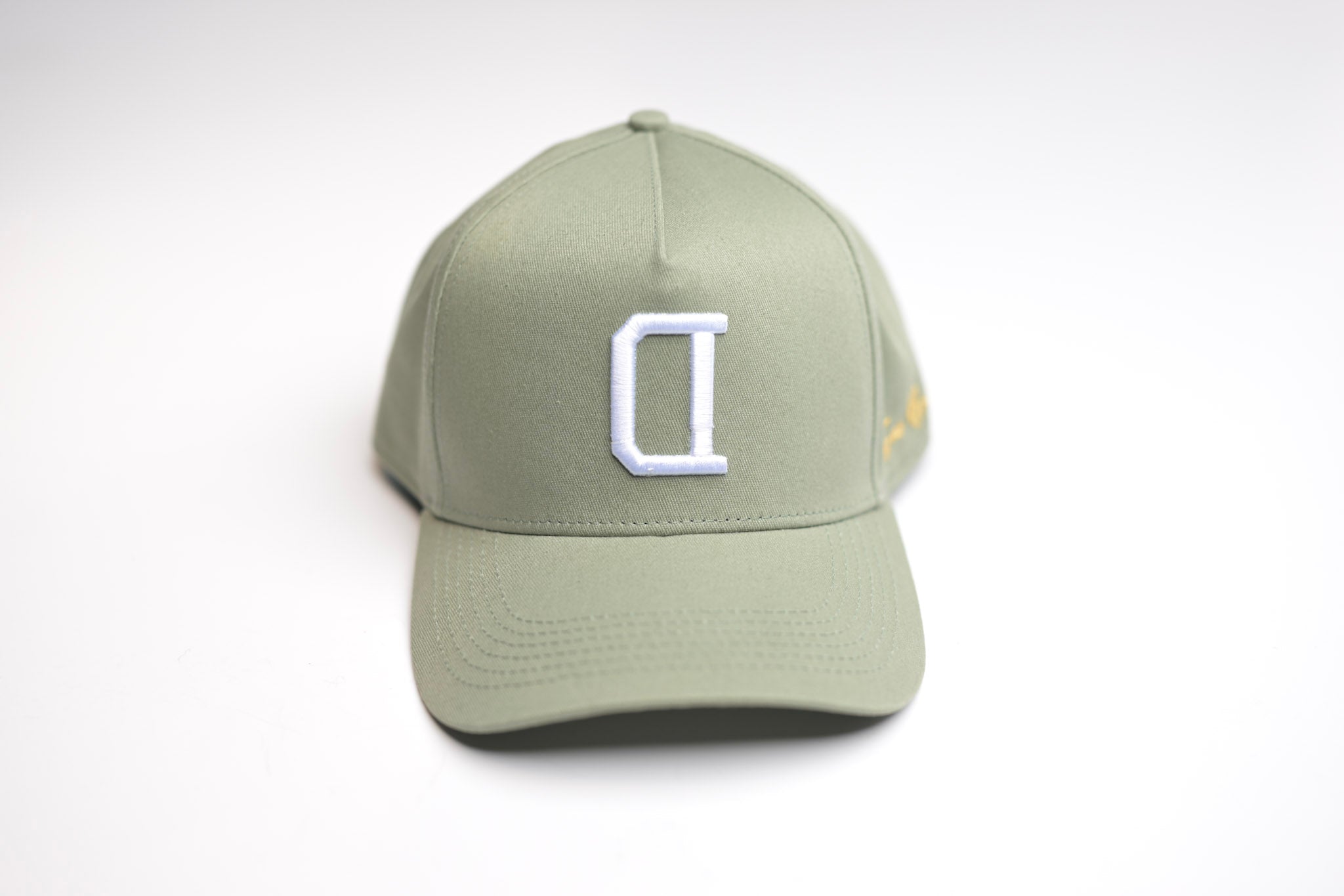 V2 Precurved snapback - SAGE