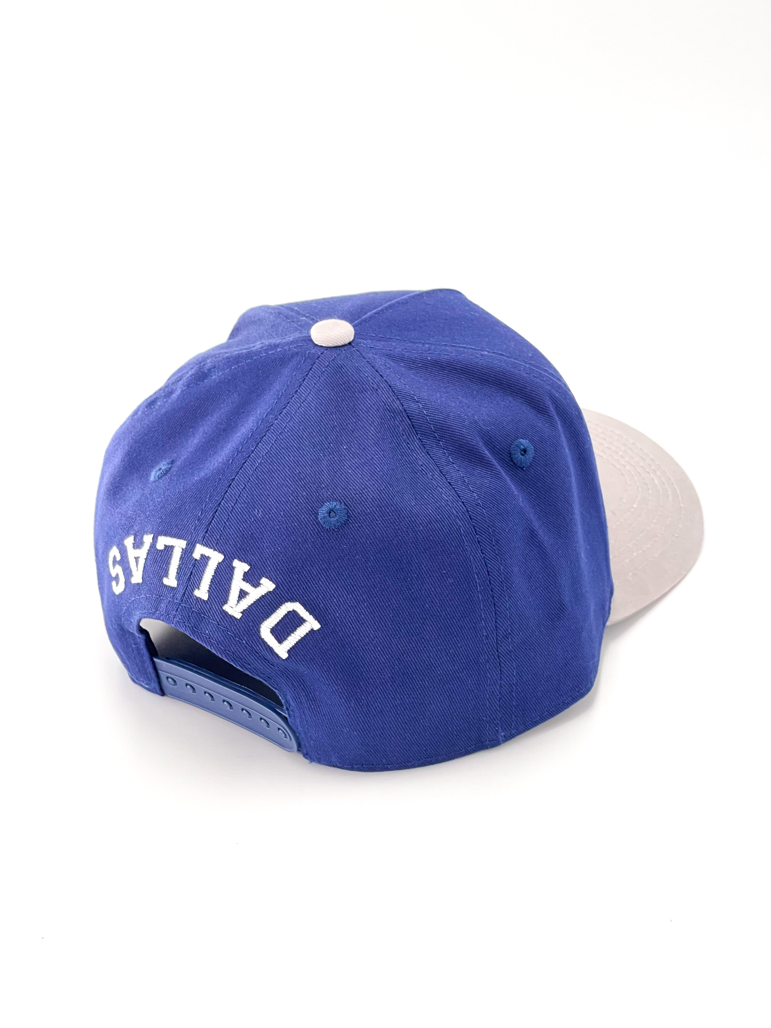 V2 Precurved snapback - GRAY / NAVY