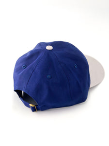 Dad Hat - GRAY / NAVY