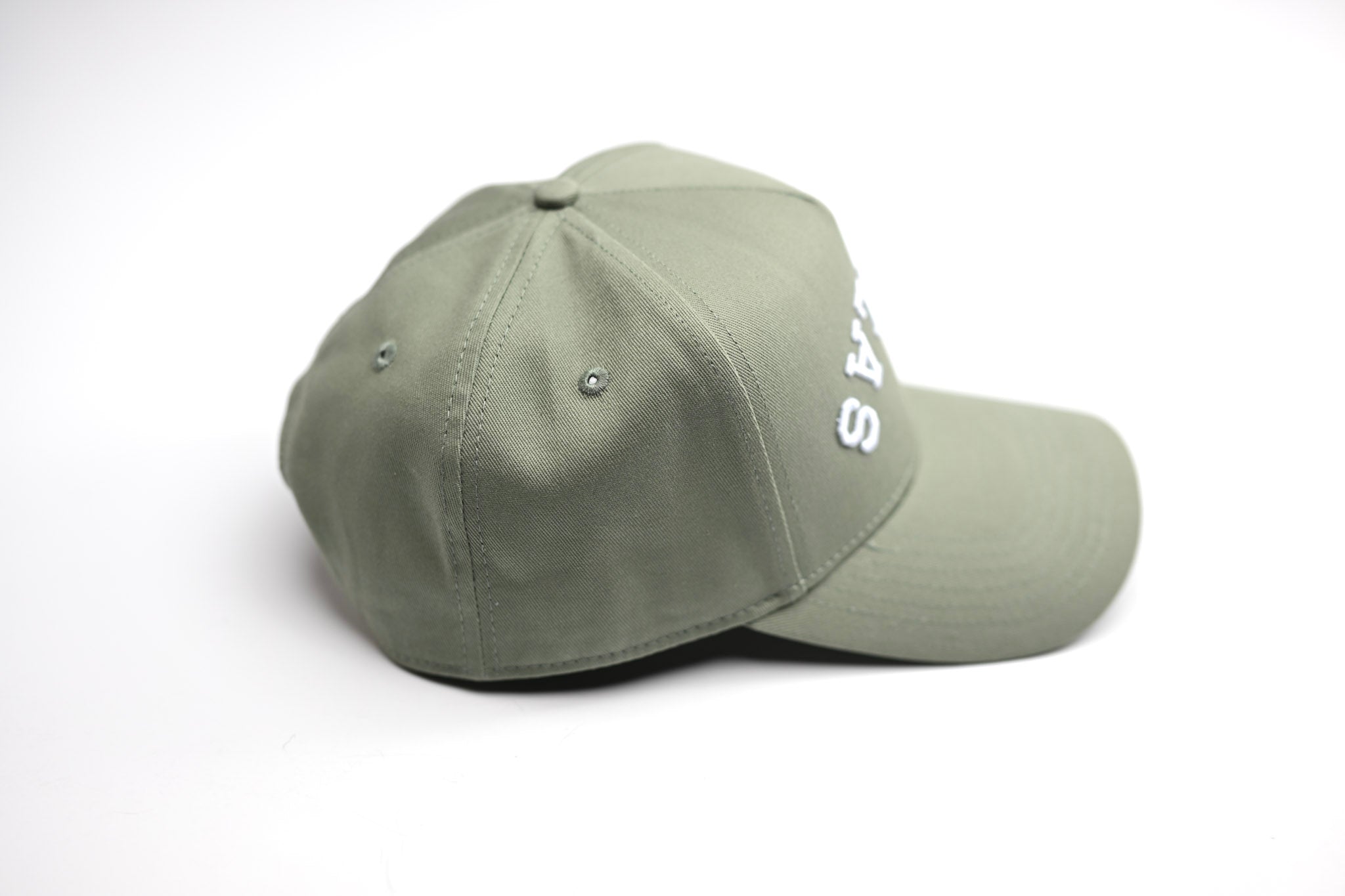 V2 Precurved snapback - SAGE – True Brvnd