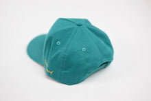 Load image into Gallery viewer, Precurved Dallas snapback - TEAL