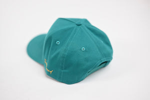 Precurved Dallas snapback - TEAL