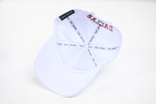 Load image into Gallery viewer, NEON V2 Precurved snapback - WHITE / PINK